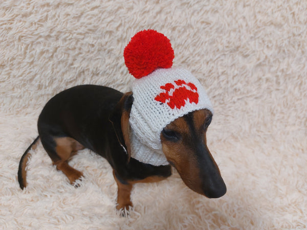 10 color Paw print dog hat with open ears and pompom