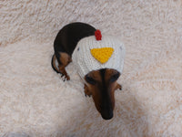 Easter chicken snood hat for dog