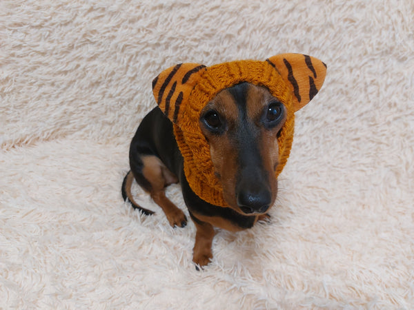 Tiger snood hat with ears for dog