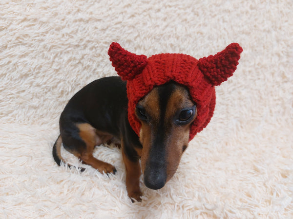 Devil snood hat for dogs