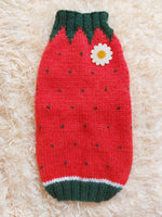 Strawberry sweater for small dogs, strawberry knitted dog jumper, strawberry small dog clothes