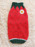 Strawberry sweater for small dogs, strawberry knitted dog jumper, strawberry small dog clothes