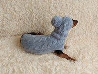 Angora wool warm suit sweater and hat for dog