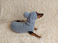 Angora wool warm suit sweater and hat for dog