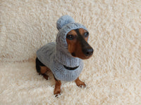 Angora wool warm suit sweater and hat for dog