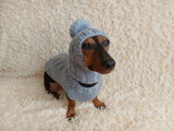 Angora wool warm suit sweater and hat for dog