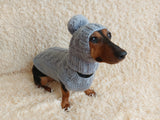 Angora wool warm suit sweater and hat for dog