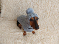 Angora wool warm suit sweater and hat for dog
