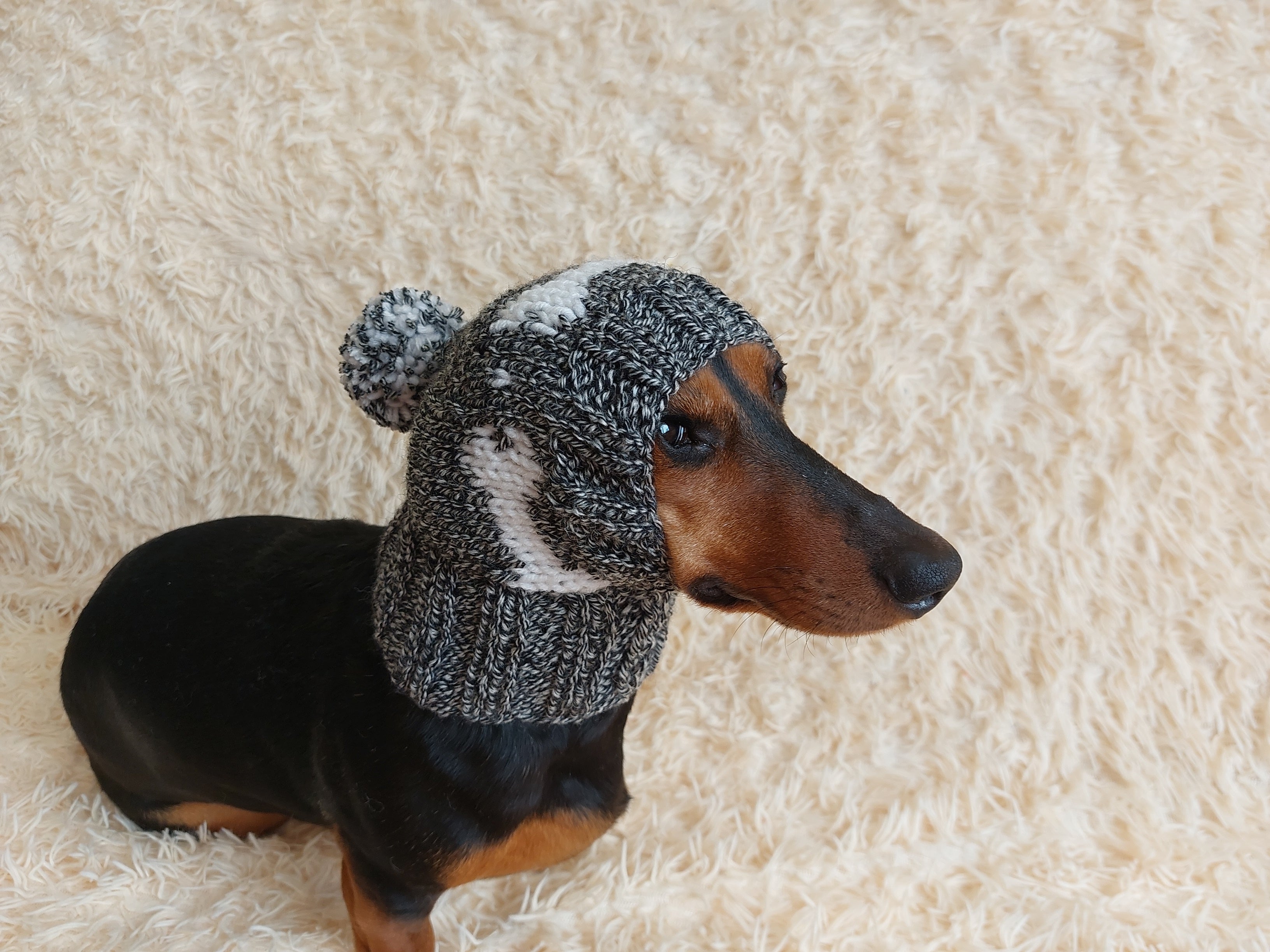 Pet Clothes Boned Hat with Pompom,Bone Dog Hat,Halloween Bonnet Hat for  Dachshund Dog