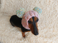 Rainbow Dog Snood Hat with Two Pom Poms