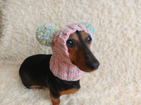 Rainbow Dog Snood Hat with Two Pom Poms
