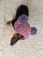 Rainbow Dog Snood Hat with Two Pom Poms