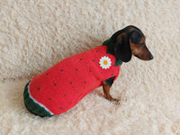Strawberry sweater for small dogs, strawberry knitted dog jumper, strawberry small dog clothes