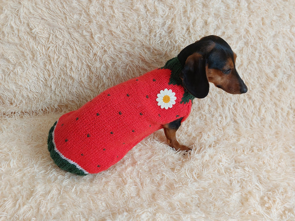 Strawberry sweater for small dogs, strawberry knitted dog jumper, strawberry small dog clothes