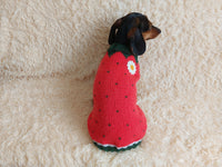 Strawberry sweater for small dogs, strawberry knitted dog jumper, strawberry small dog clothes
