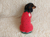 Strawberry sweater for small dogs, strawberry knitted dog jumper, strawberry small dog clothes
