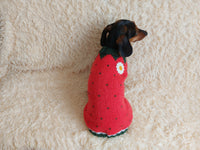 Strawberry sweater for small dogs, strawberry knitted dog jumper, strawberry small dog clothes