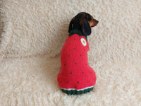 Strawberry sweater for small dogs, strawberry knitted dog jumper, strawberry small dog clothes