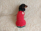 Strawberry sweater for small dogs, strawberry knitted dog jumper, strawberry small dog clothes