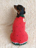Strawberry sweater for small dogs, strawberry knitted dog jumper, strawberry small dog clothes