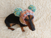 Wool dog hat pom pom