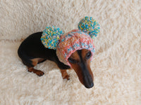 Wool dog hat pom pom