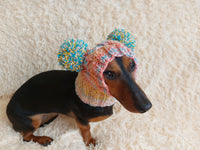 Wool dog hat pom pom