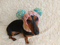 Wool dog hat pom pom