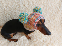 Wool dog hat pom pom