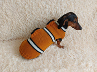 Fish costume for dog sweater, sweater fish for dogs, clothes for dogs marine style, dog jumper fish, fish costume for dachshund