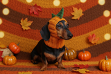 Dinosaur Snood Hat for Dog with Open Ears
