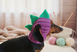 Dinosaur Snood Hat for Dog with Open Ears