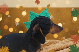 Dinosaur Snood Hat for Dog with Open Ears