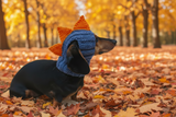 Dinosaur Snood Hat for Dog with Open Ears