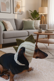 Dinosaur Snood Hat for Dog with Open Ears