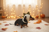 Dinosaur Snood Hat for Dog with Open Ears