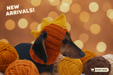 Dinosaur Snood Hat for Dog with Open Ears