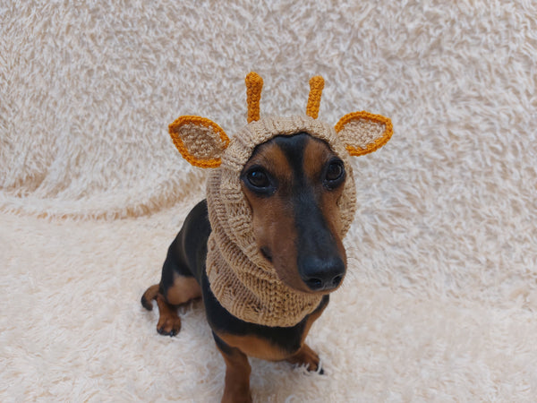 Christmas Deer Wool Dog Snood Hat