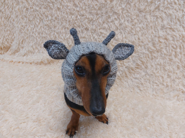 Christmas Deer Wool Dog Snood Hat