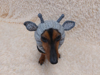 Christmas Deer Wool Dog Snood Hat