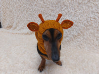 Christmas Deer Wool Dog Snood Hat