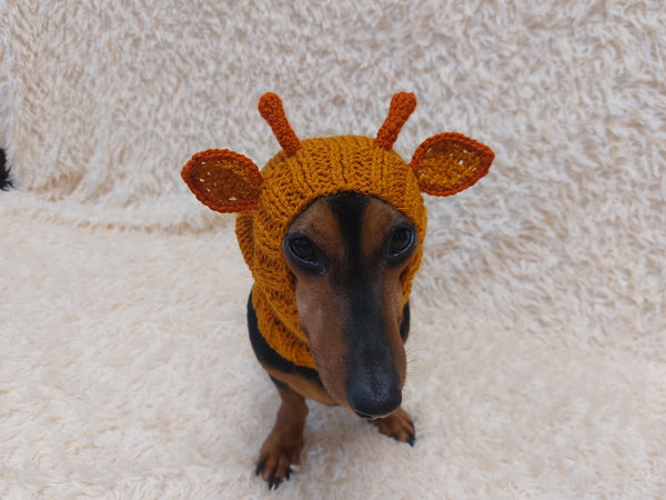 Christmas Deer Wool Dog Snood Hat