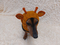 Christmas Deer Wool Dog Snood Hat