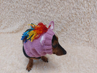 Snood Hats for Dogs Horse with Multi-Colored Mane