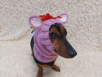 Snood Hats for Dogs Horse with Multi-Colored Mane