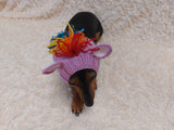 Snood Hats for Dogs Horse with Multi-Colored Mane