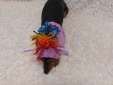 Snood Hats for Dogs Horse with Multi-Colored Mane