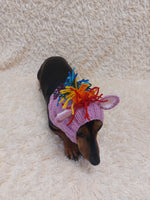 Snood Hats for Dogs Horse with Multi-Colored Mane