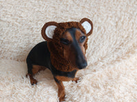 Pet cloches bear hat snood, dog clothes hat snood bear
