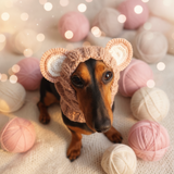 Pet cloches bear hat snood, dog clothes hat snood bear
